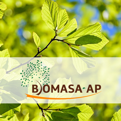 Biomasa-ap