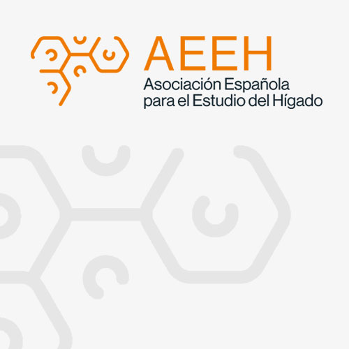 AEEH Web Corporativa